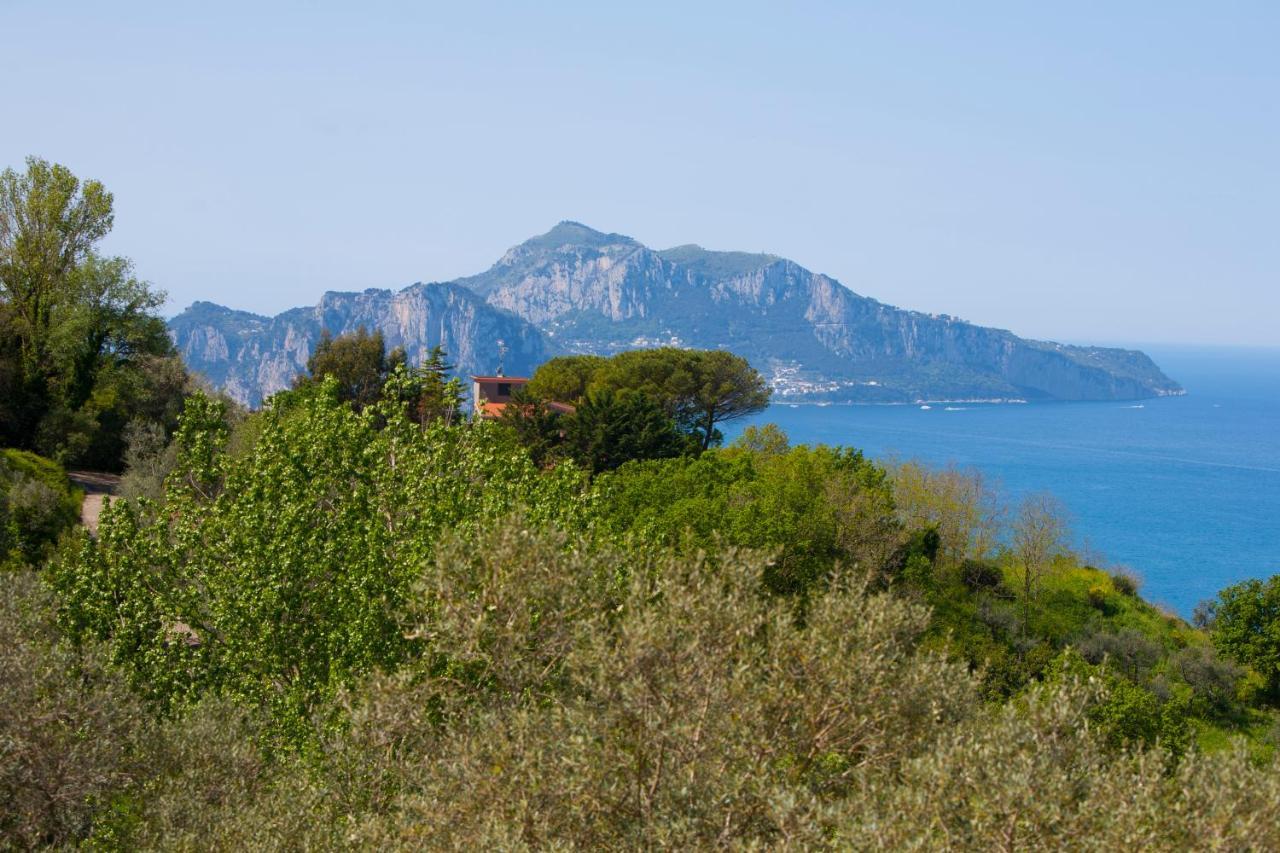 Villa Venus In Penisola Sorrentina Massa Lubrense Eksteriør bilde