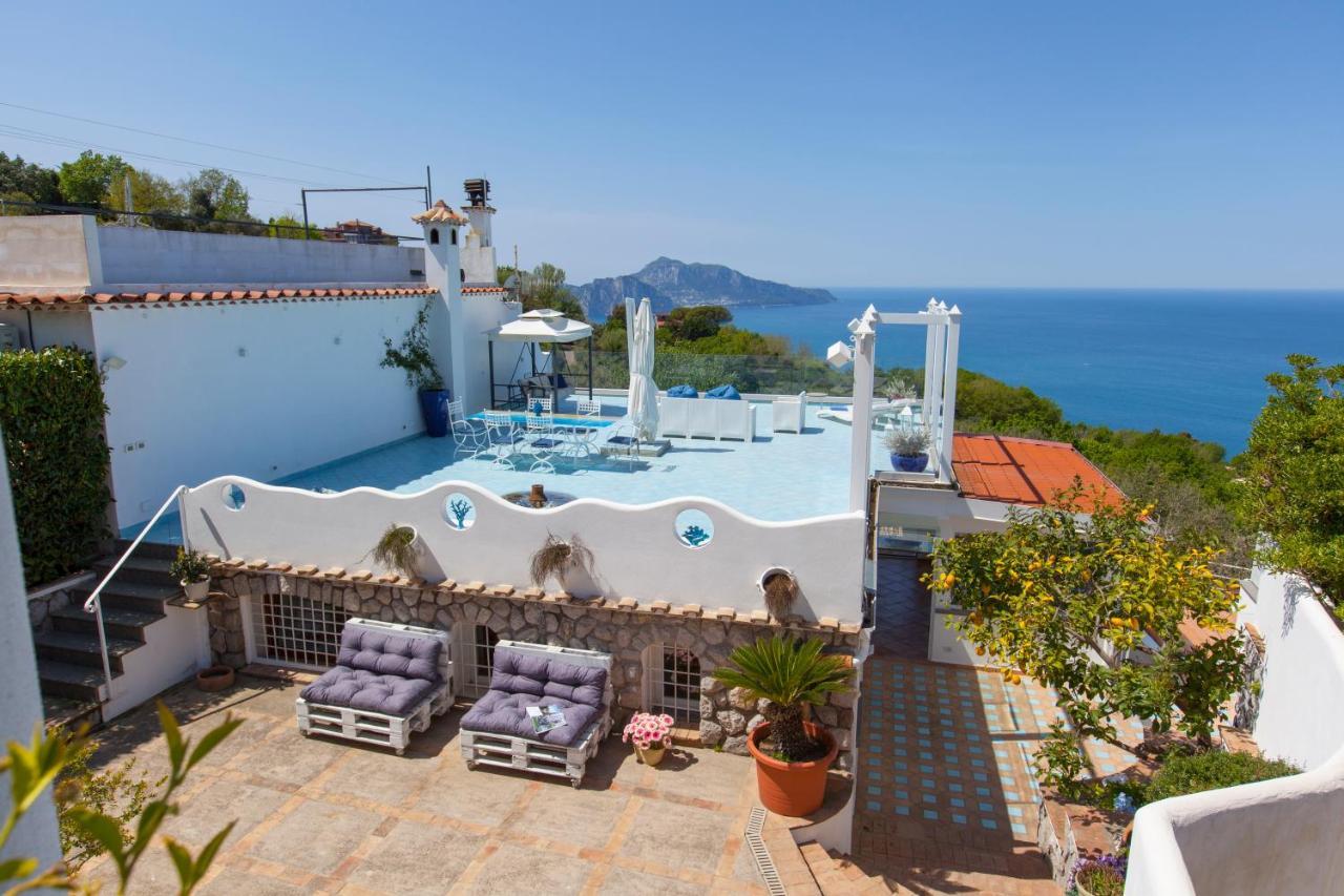 Villa Venus In Penisola Sorrentina Massa Lubrense Eksteriør bilde