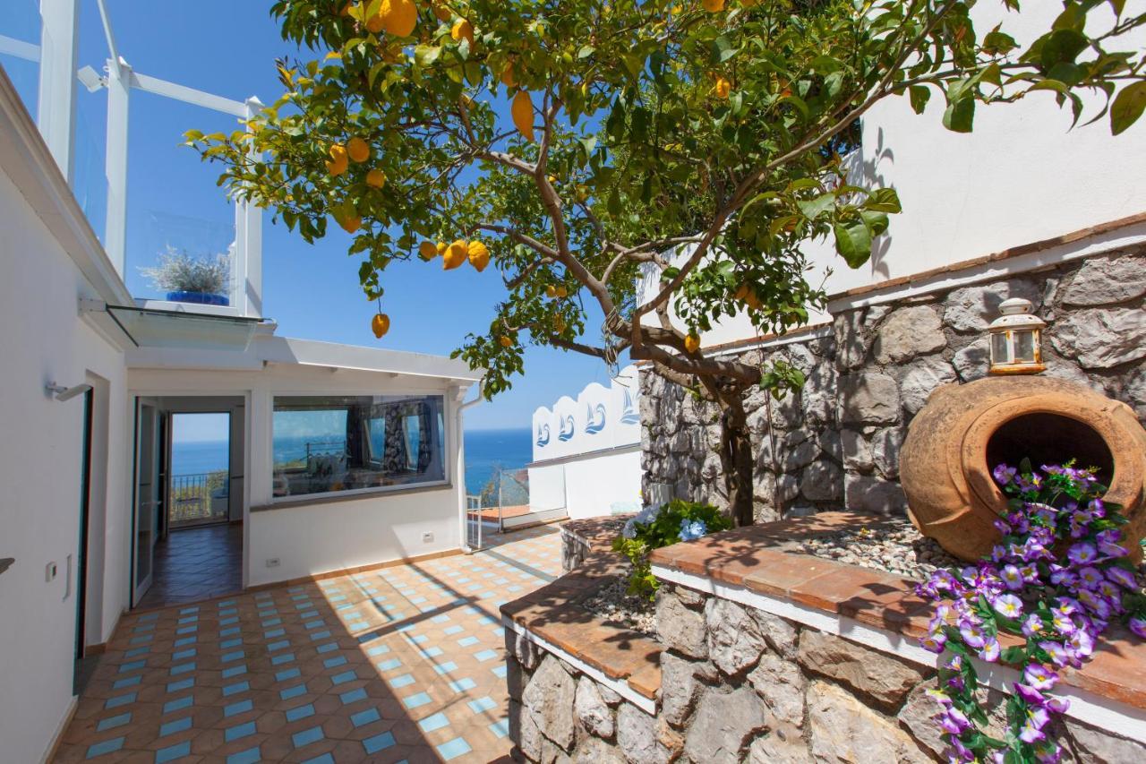 Villa Venus In Penisola Sorrentina Massa Lubrense Eksteriør bilde