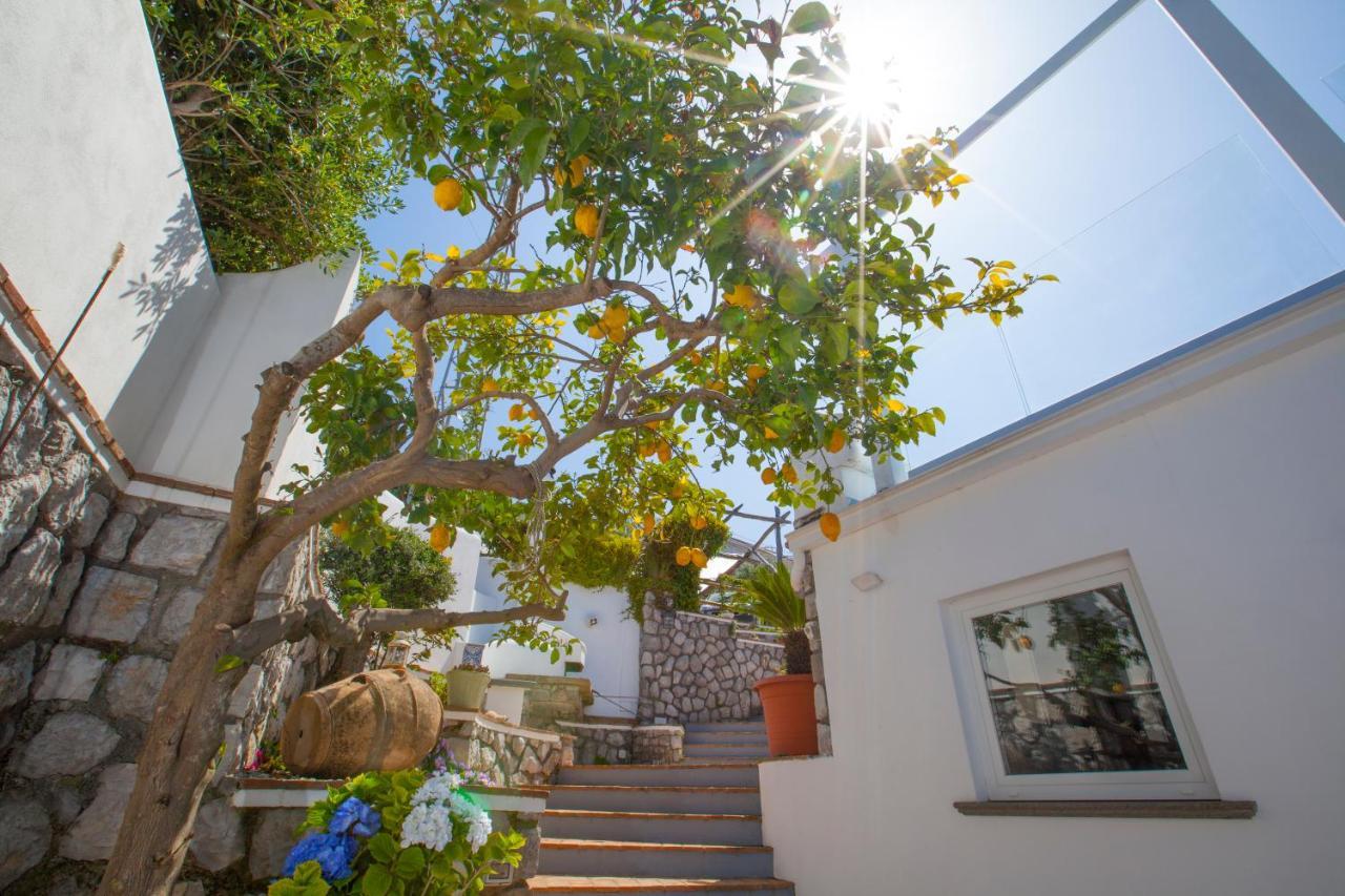 Villa Venus In Penisola Sorrentina Massa Lubrense Eksteriør bilde