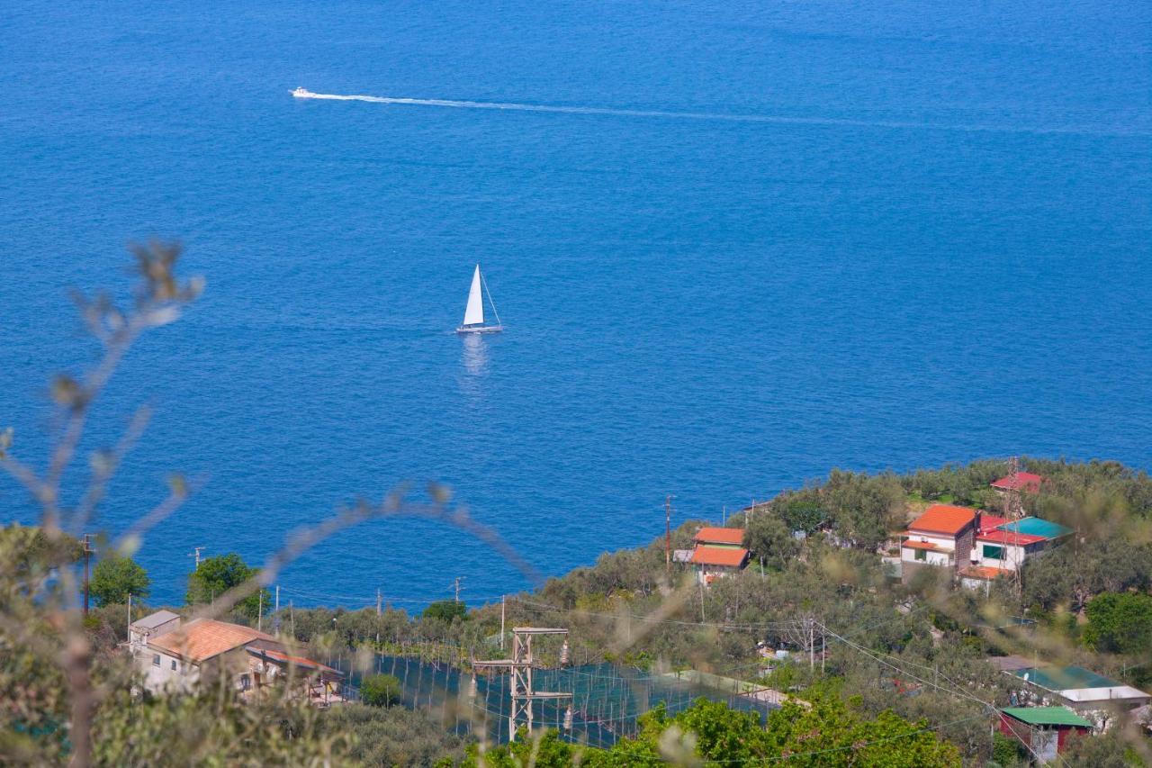 Villa Venus In Penisola Sorrentina Massa Lubrense Eksteriør bilde