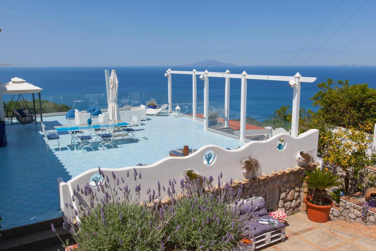 Villa Venus In Penisola Sorrentina Massa Lubrense Eksteriør bilde